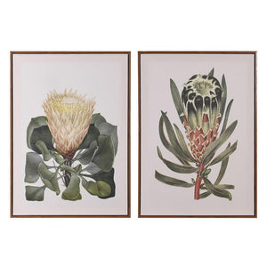 Sugarbushes Wall Art - Set of 2
