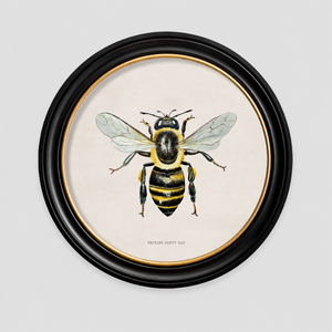 British Bee Framed Wall Art - Set of 2