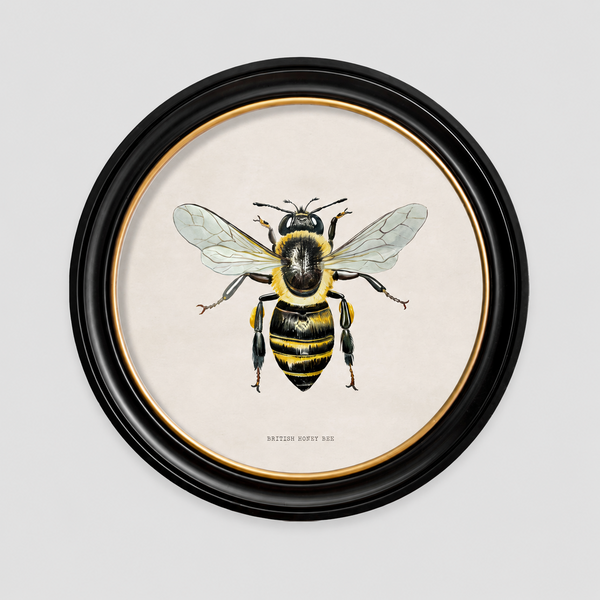 British Bee Framed Wall Art - Set of 2