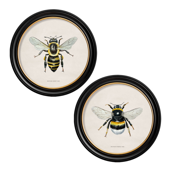 British Bee Framed Wall Art - Set of 2 x 70cm