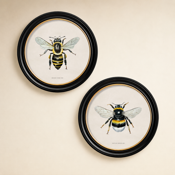 British Bee Framed Wall Art - Set of 2 x 70cm