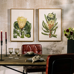 Sugarbushes Wall Art - Set of 2