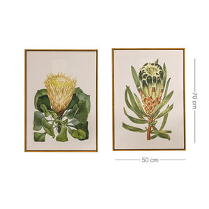 Sugarbushes Wall Art - Set of 2