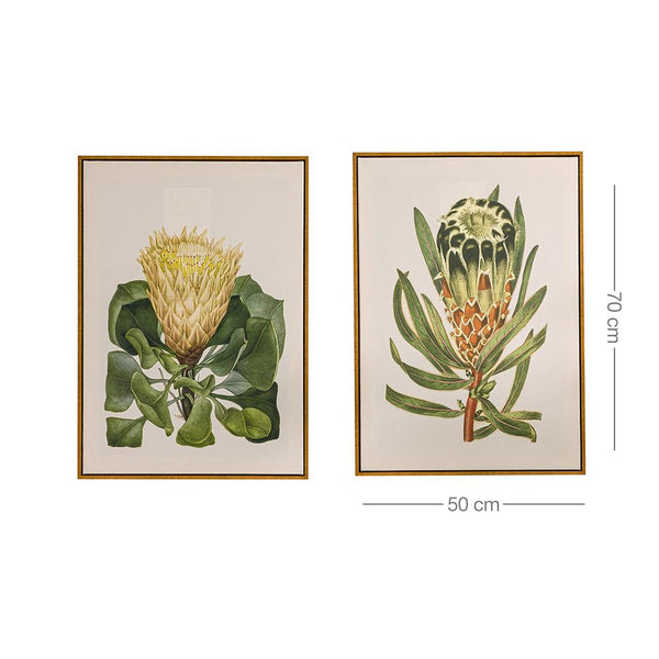 Sugarbushes Wall Art - Set of 2