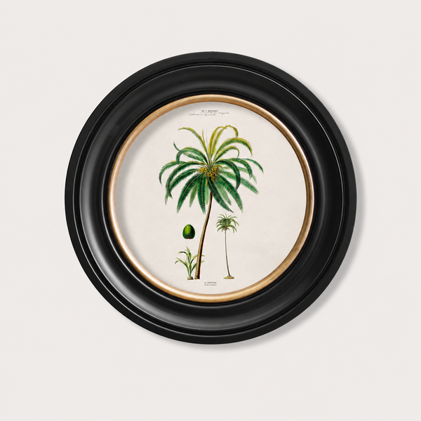 Studies of Palm Trees Framed Wall Art - Round - Set of 4 x 44cm