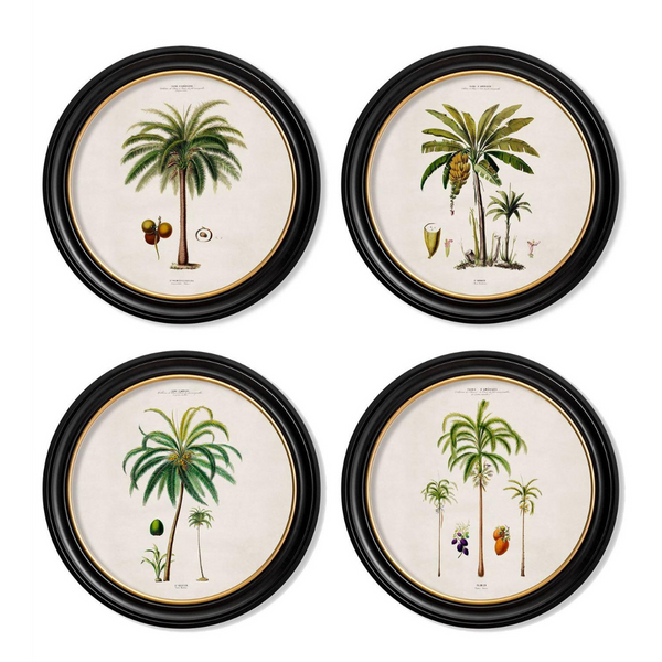 Studies of Palm Trees Framed Wall Art - Round - Set of 4 x 70cm