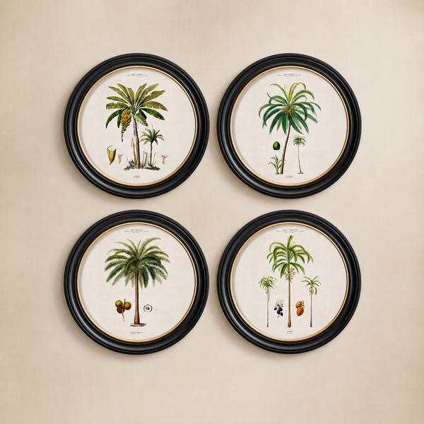 Studies of Palm Trees Framed Wall Art - Round - Set of 4