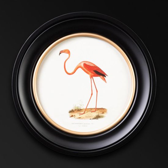 Framed Wall Art - Round Frame - Pink Flamingo - 44 x 44cm