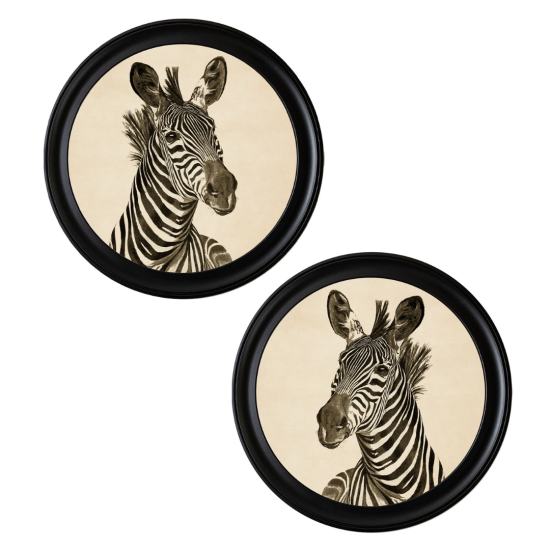 Zebra Framed Wall Art - Black Round Frame - Set of 2
