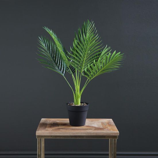Hawaiian Palm Tree - Green - Real Touch - Artificial Plant - 60cm