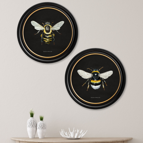 British Bee Dark Framed Wall Art - Black & Gold Round Frame - Set of 2