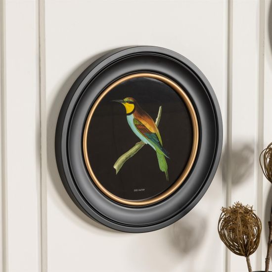 Framed Wall Art - Round Frame - Bee Eater Black - 44 x 44cm