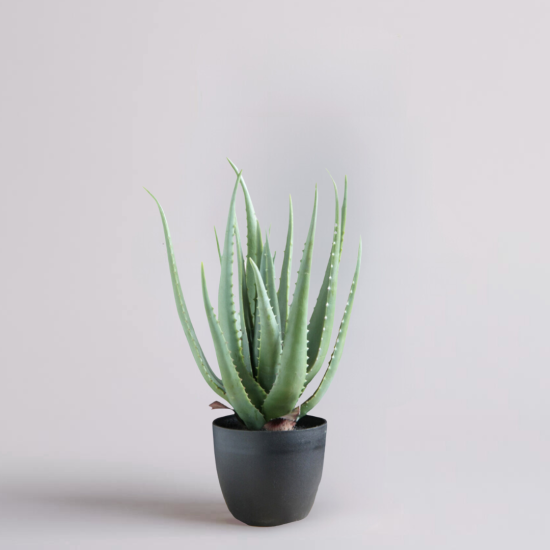 Aloe Vera Decorative Indoor Artificial Plant - 45cm