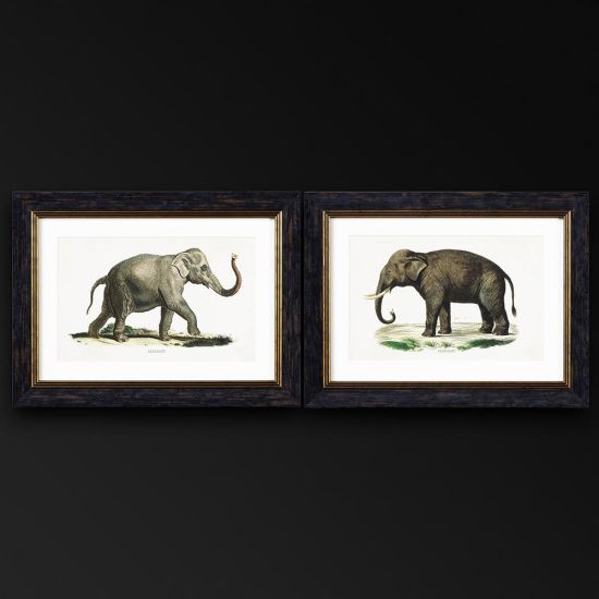 Framed Wall Art - A3 Oxford Slim Frame - Facing Elephants - 38 x50cm - Set of 2