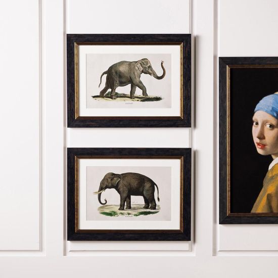 Elephants Framed - Black & Gold Frame -Set of 2