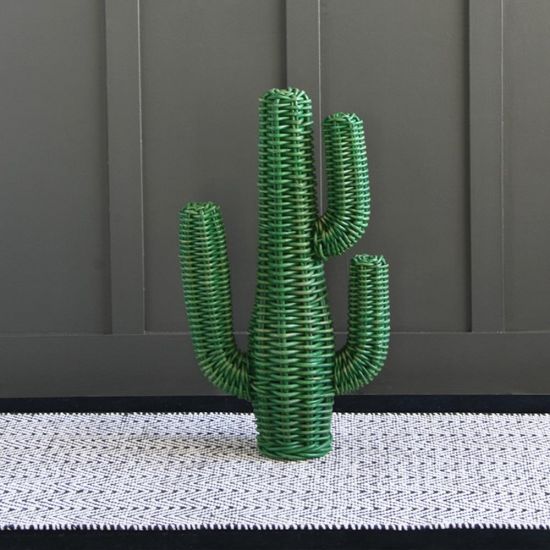 Rattan Cactus