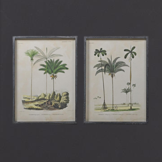 Framed Wall Art - Montego Palm Tree - Set of 2