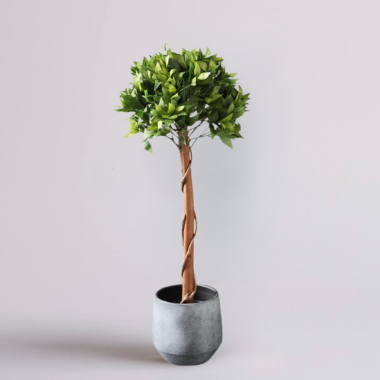 Real Touch Bay Tree Green Decorative Indoor Artificial Plant - 100cm