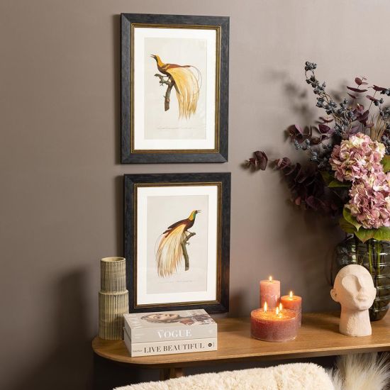 Framed Wall Art - A3 Slim Frame - Left Facing Birds of Paradise - 38 x 50cm