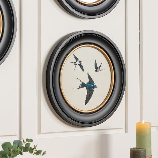 Framed Wall Art - Round Frame - Group of Swallows - 44 x 44cm