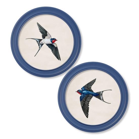 Swallows Framed Wall Art - Blue Round Frame - Set of 2