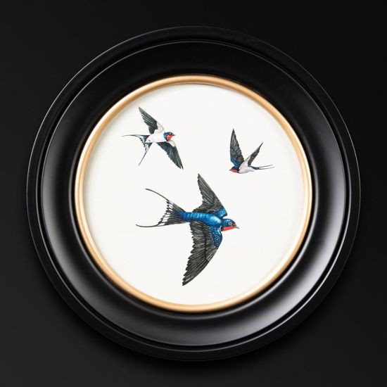 Framed Wall Art - Round Frame - Group of Swallows - 44 x 44cm