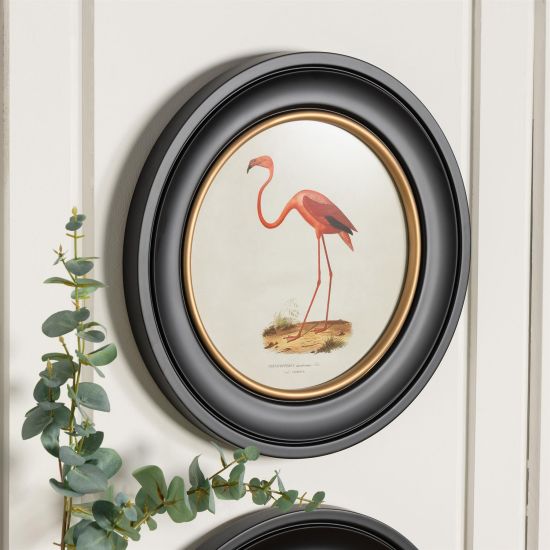 Framed Wall Art - Round Frame - Pink Flamingo - 44 x 44cm