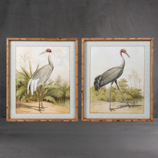 Framed Wall Art - Ciconia Storks - Set of 2
