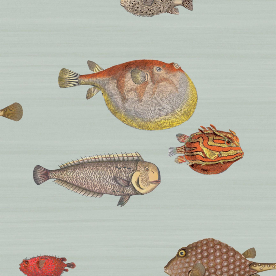 Cole & Son Wallpaper - Acquario Seafoam - Blue
