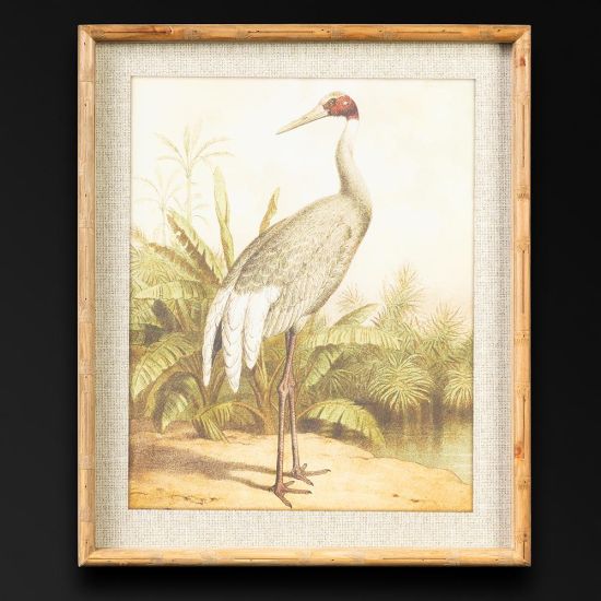 Framed Wall Art - Ciconia Storks - Set of 2