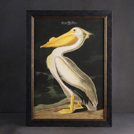 Framed Wall Art - A2 Oxford Slim Frame - Pelican Premium Print - 50 x 70cm