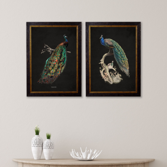 Peacocks Framed Wall Art - Black & Gold Frame - Set of 2