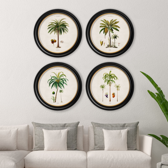 Studies of Palm Trees Framed Wall Art - Black & Gold Round Frame - Set of 4