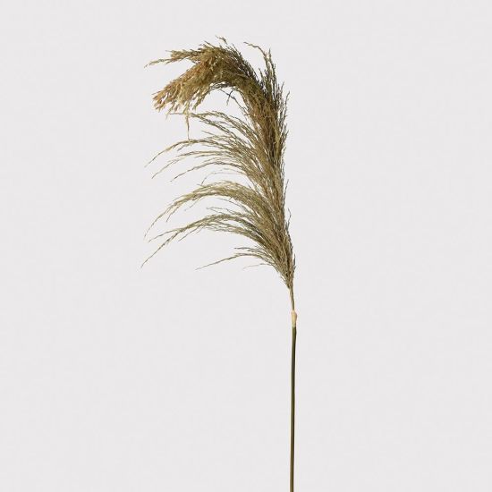Real Dried Wheat Spray Single Stem Artificial Flowers - 100cm