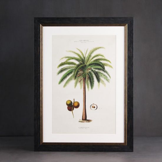 Framed Wall Art - A2 Oxford Slim Frame - Macaw Palm Premium Print - 50 x 70cm