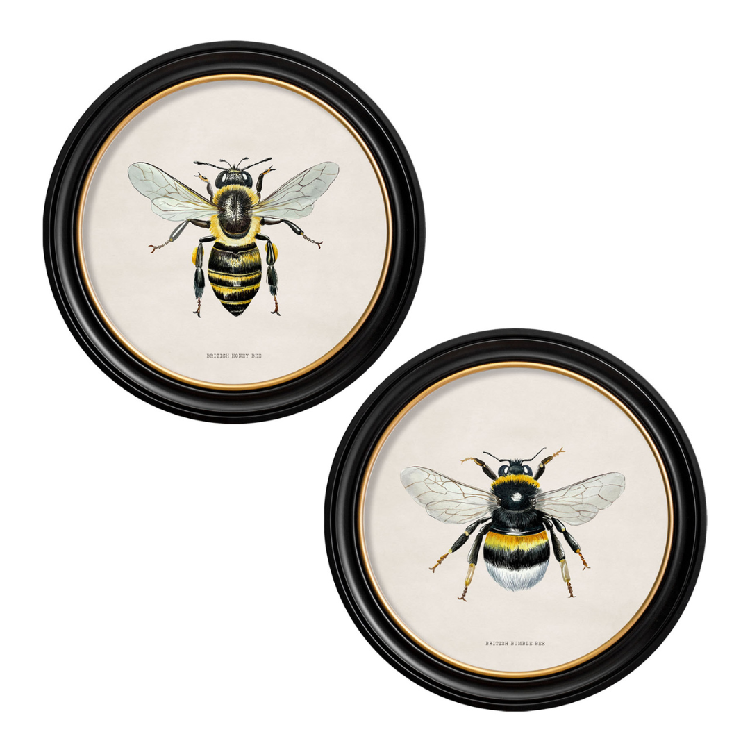 British Bee Framed Wall Art - Black & Gold Round Frame - Set of 2
