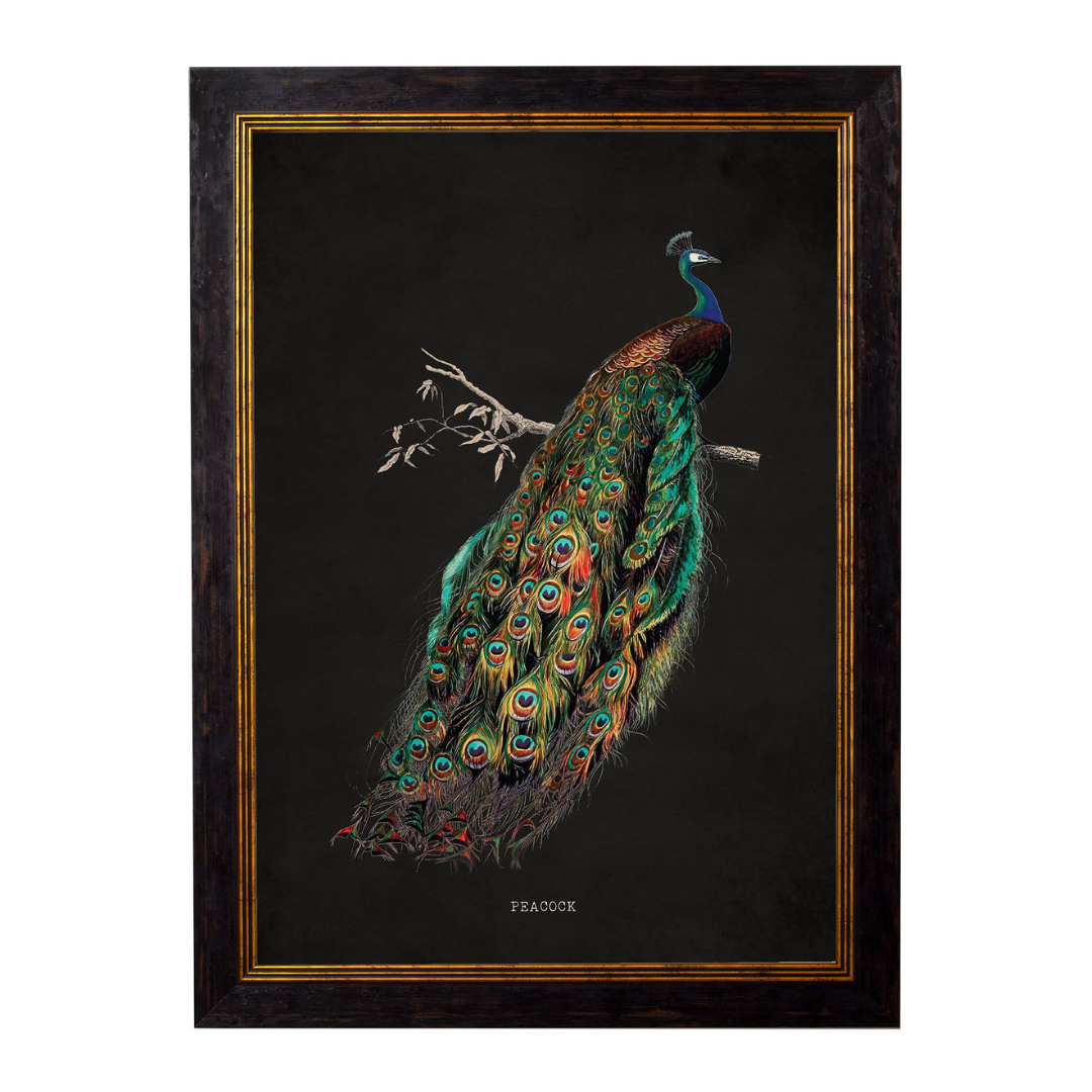 Peacocks Framed Print Wall Art | Black &amp; Gold Frame | Set of 2 | Where ...
