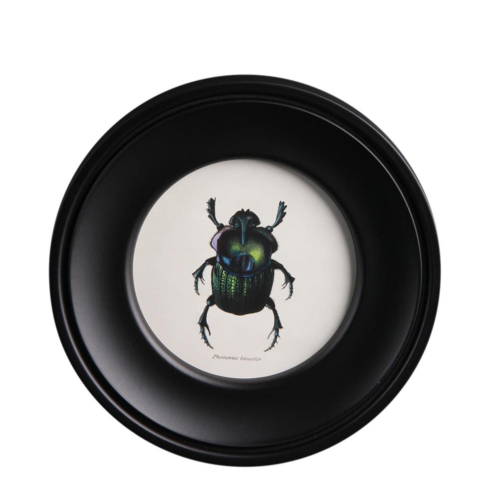 Framed Wall Art - Round Frame - Beetles Premium Print - 25 x 25cm