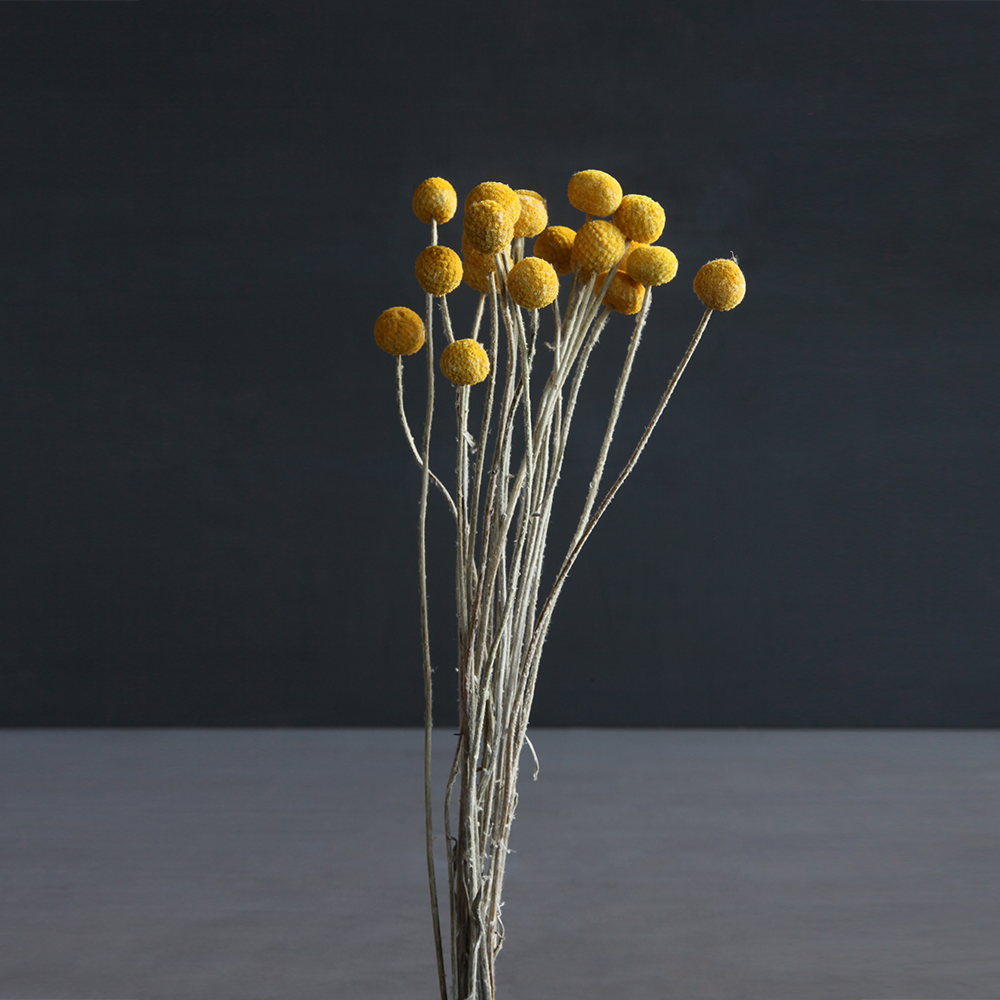Our 'Billy Buttons' flowers are a great way of refreshing the living room.