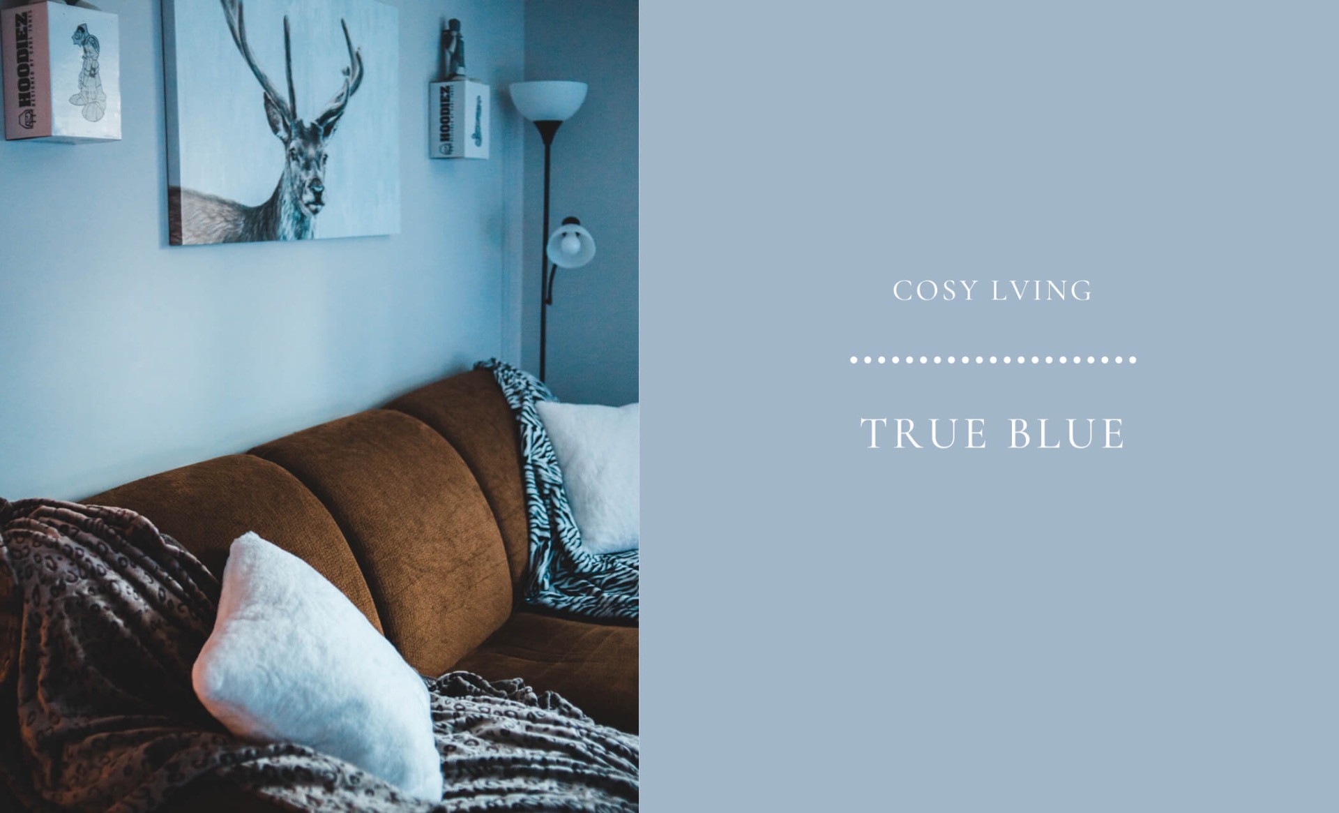 cosy blue for living room walls